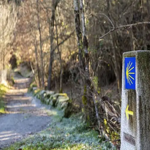 Camino de Santiago en Galicia - tour privado